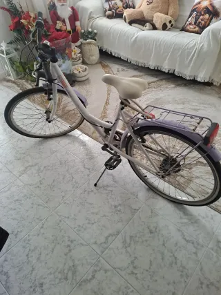 Bicicleta blanca y lila