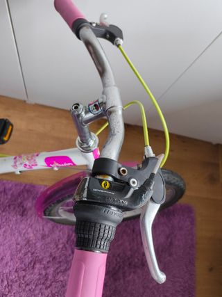 Bicicleta Infantil 20"