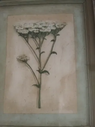 Cuadro Vintage Lámina Beauty Milenrama