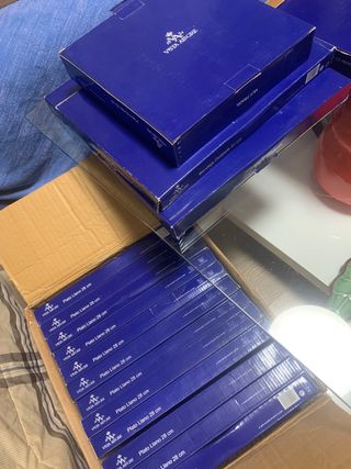 Vajilla Vista Alegre - Platos Sueltos