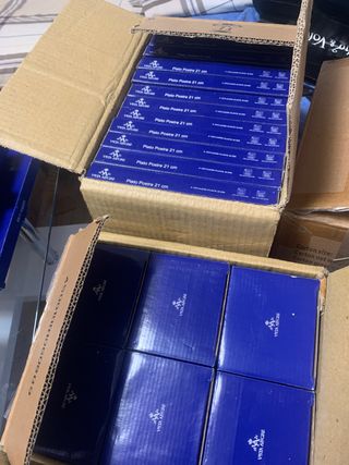 Vajilla Vista Alegre - Platos Sueltos