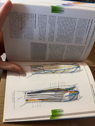 Atlas de Anatomía.Con correlación clínica: Apar...