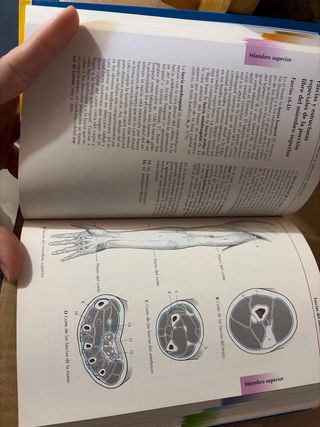 Atlas de Anatomía.Con correlación clínica: Apar...