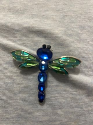 Aguja solapa libélula azul y verde