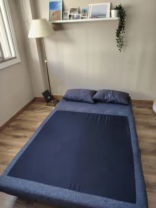 Sofá Cama 2 Plazas Gris