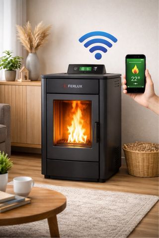 Módulo WiFi Ecoforest para estufas