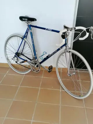 Bicicleta Zeus Z-4100 Azul