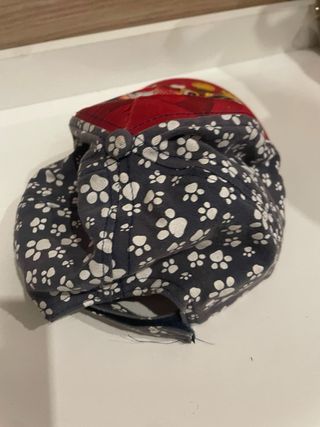 Gorra Paw Patrol Chase y Rocky