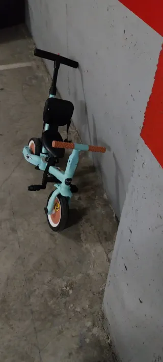 Triciclo Evolutivo Olmitos