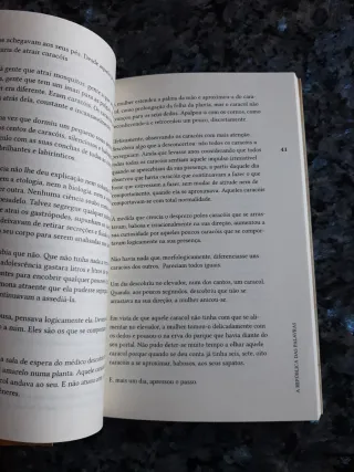 A república das palavras