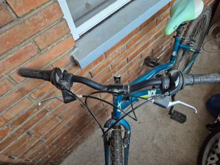 Bicicleta Mujer Azul verdoso KX