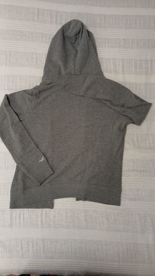 Sudadera Hollister Gris con Capucha