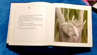 Stelalluna -Catala- (Spanish Edition)