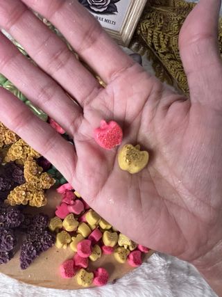 Melts per cera 'Giardino di unicorno'