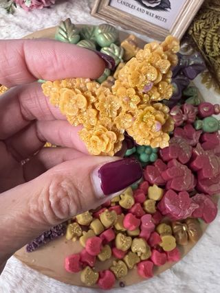 Melts per cera 'Giardino di unicorno'