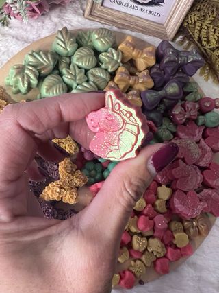 Melts per cera 'Giardino di unicorno'