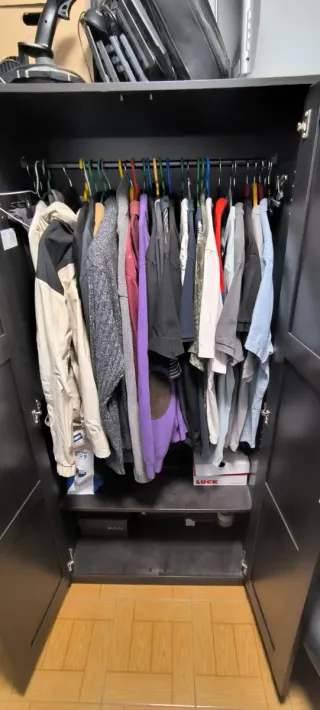 Armario Ikea Rakkestad 2 puertas