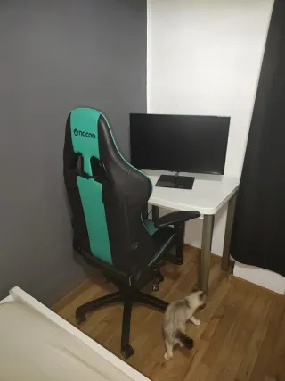 TV Samsung 28 + Mesa blanca