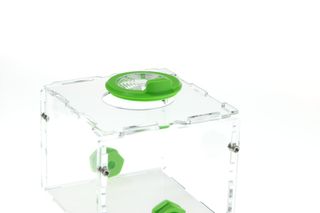 Arena acrílica 100x100mm con bebedero