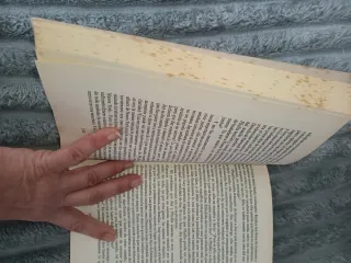 Hoy Puede Ser un Gran Dia Consejos Para Lograr ...