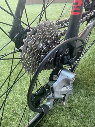 Bicicleta Focus Cayo Carbon Talla S