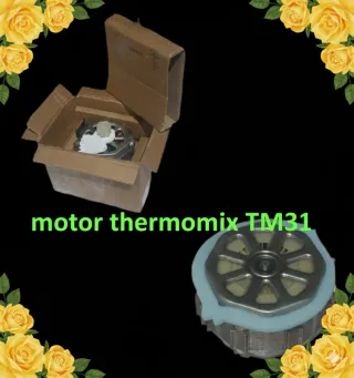 MOTOR ORIGINAL THERMOMIX TM31 " EXCELENTE "