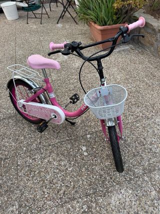 Bicicleta Infantil Rosa 16 Fantasy
