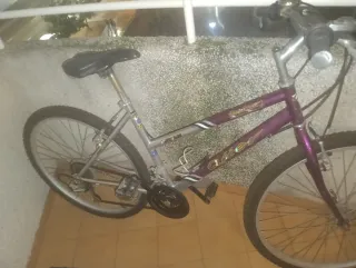 Bicicleta de montaña