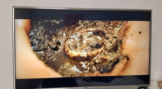 Televisión LG 43UJ651V Gris