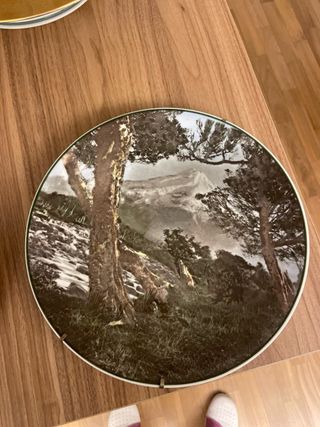 Royal Doulton Piatti da Collezione Primi '900