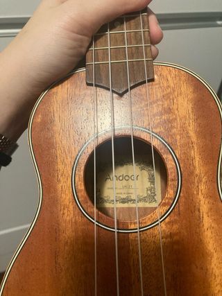 Ukelele Andoer
