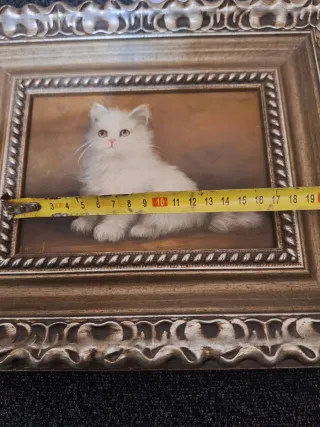 Cuadro Gatito Blanco Pintado Marco Dorado