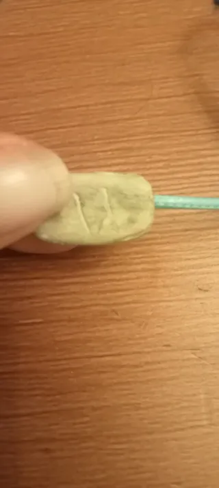 Collar y pulsera escarabajo turquesa