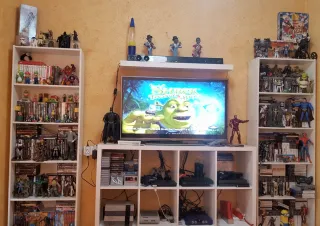 PS1 Shrek Treasure Hunt