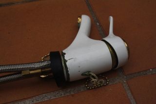 Grifo blanco y dorado