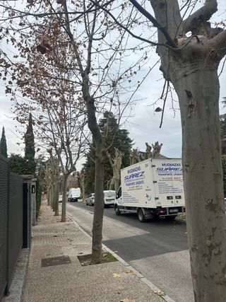 CONGELADOR MUDANZAS SUÁREZ