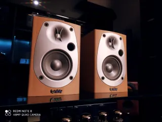 Monitores Infinity BETA Marrones y Plateados