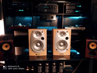 Monitores Infinity BETA Marrones y Plateados