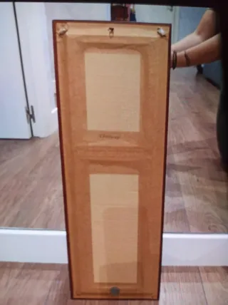 Espejo decorativo 21x59cm