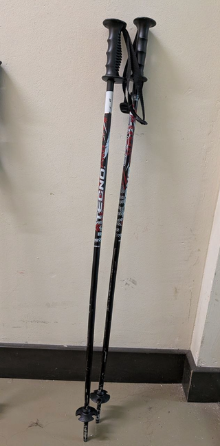 Bastones Esquí TecnoPro