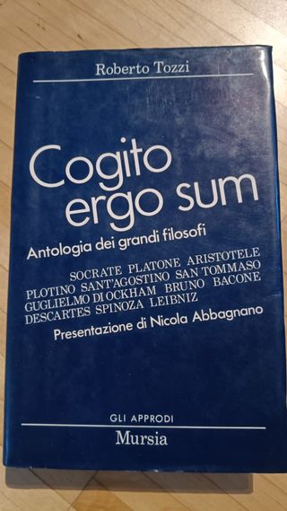Cogito ergo sum