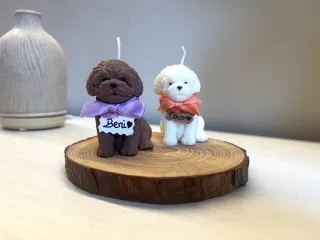 Velas artesanales perro aromáticas