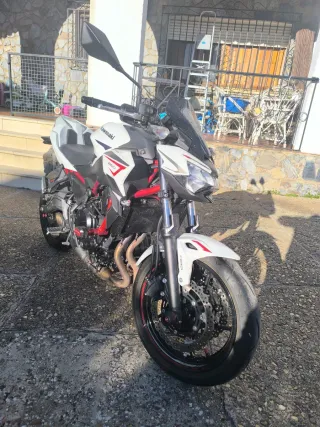 Kawasaki Z 650 Performance
