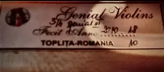 Violín Gliga Genial 3/4