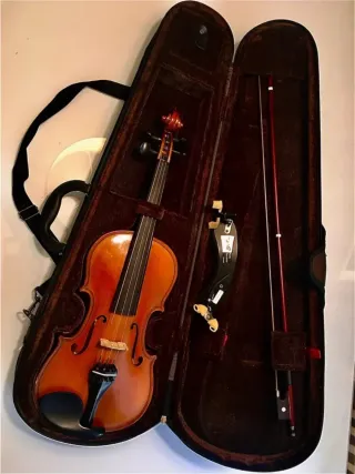 Violín Gliga Genial 3/4