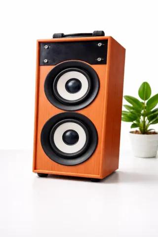 Altavoz de madera con doble cono