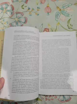 Derecho e Informática. Ética y legislación (Spa...