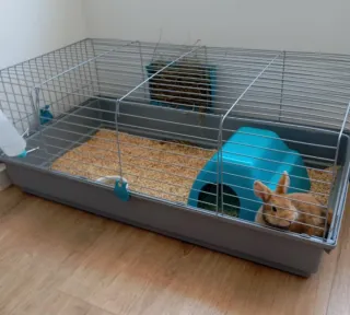 Jaula para conejo o cobaya