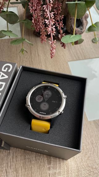 Garmin Fenix 5 Plus