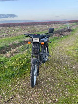 Suzuki Maxi Cuidado - Todo en Regla